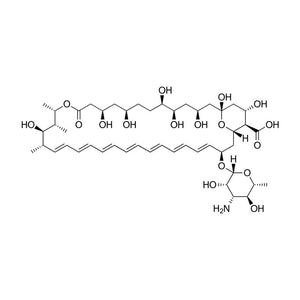 Amphotericin B Solution, 100X