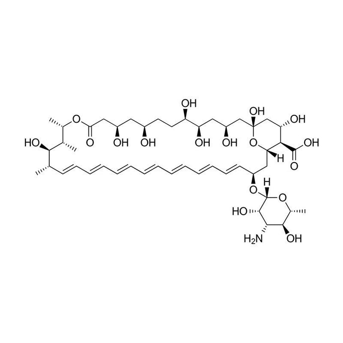 Amphotericin B Solution, 100X