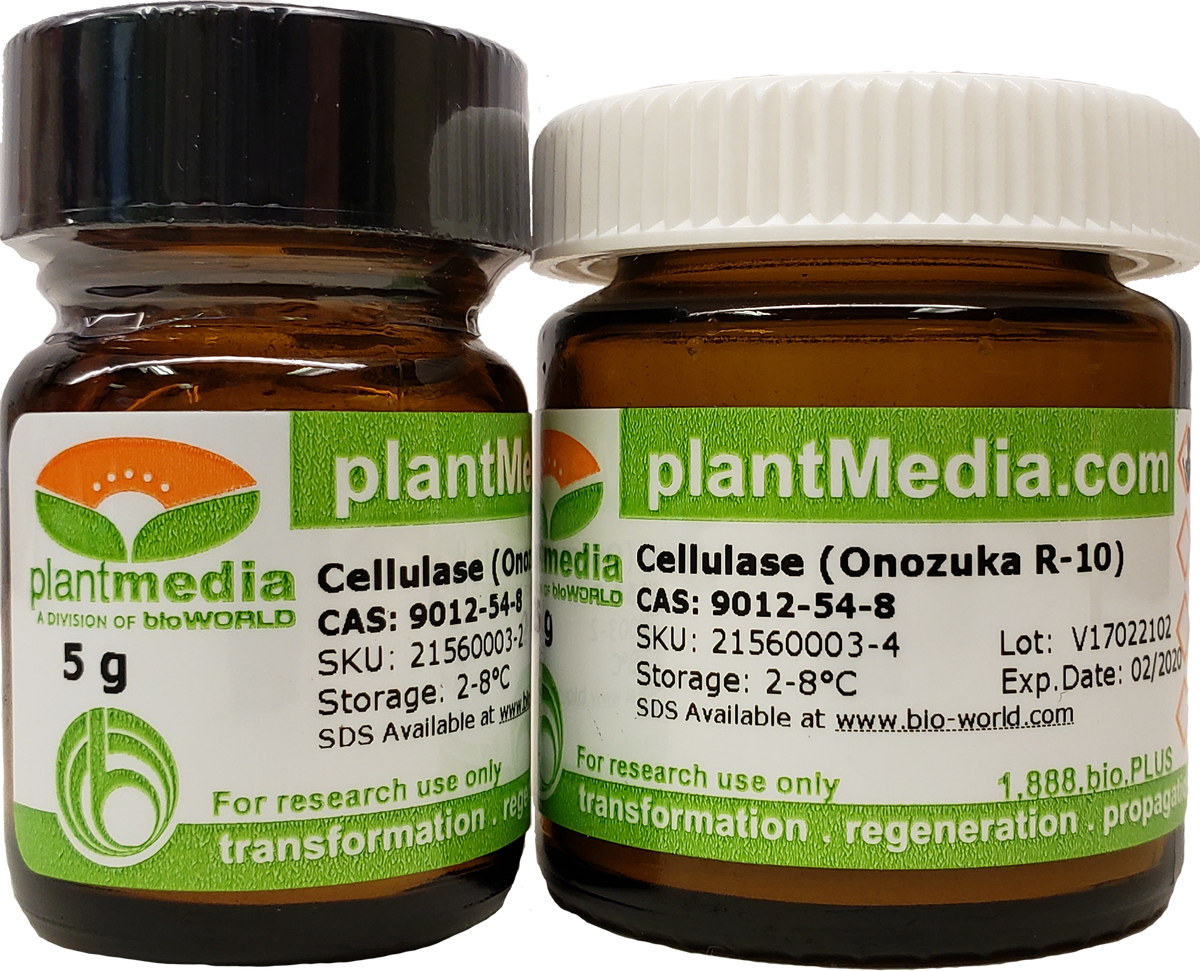 Cellulase R10 Cellulase (Onozuka R-10) – PlantMedia