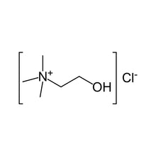 Choline Chloride