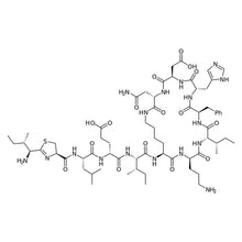 Bacitracin