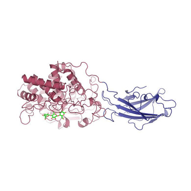 Cellulase