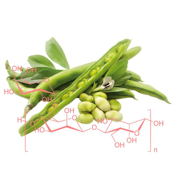 Guar Gum