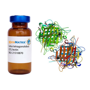 Lotus tetragonolobus Lectin (LTL) - Pure