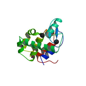Lysozyme