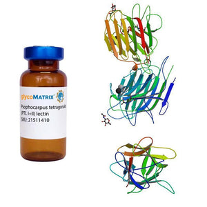 Psophocarpus tetragonolobus Lectin (PTL/PTA I+II) - Pure