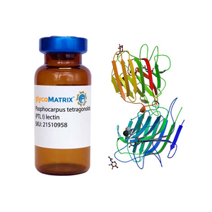 Psophocarpus tetragonolobus Lectin (PTL/PTA I) - Pure